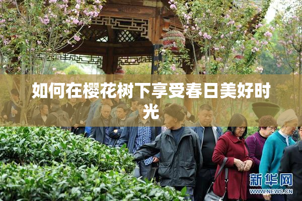 如何在樱花树下享受春日美好时光