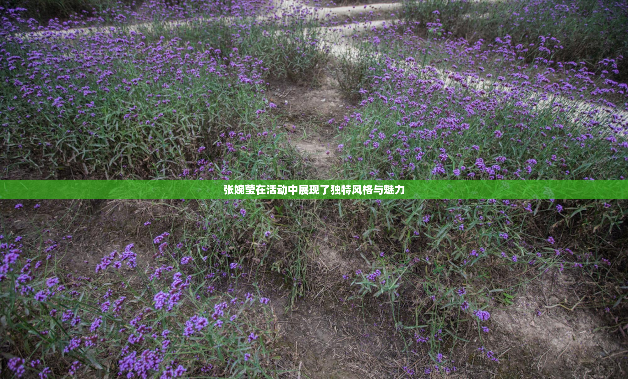 张婉莹在活动中展现了独特风格与魅力