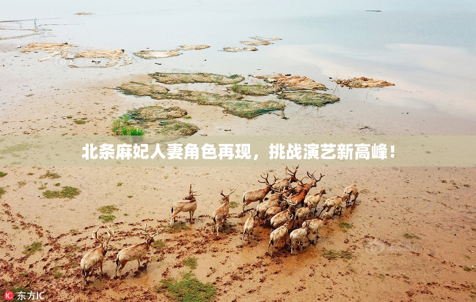 北条麻妃人妻角色再现，挑战演艺新高峰！