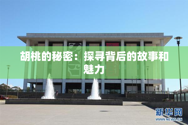 胡桃的秘密：探寻背后的故事和魅力
