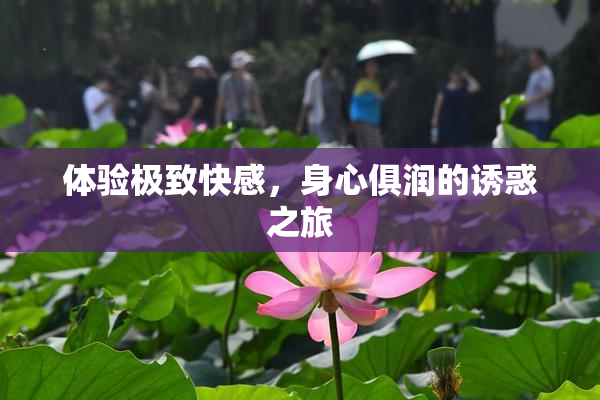 体验极致快感，身心俱润的诱惑之旅