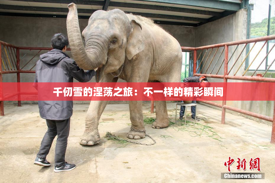 千仞雪的涅荡之旅：不一样的精彩瞬间