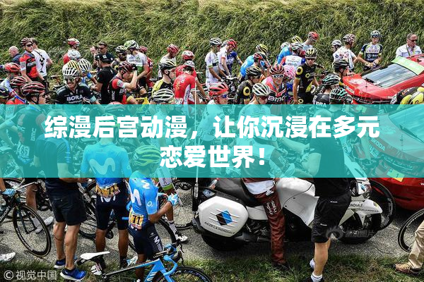 综漫后宫动漫，让你沉浸在多元恋爱世界！