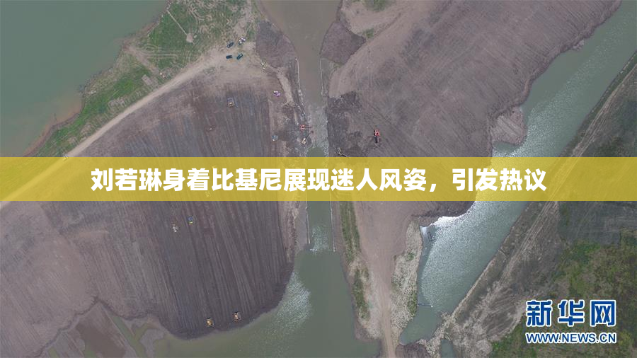 刘若琳身着比基尼展现迷人风姿，引发热议