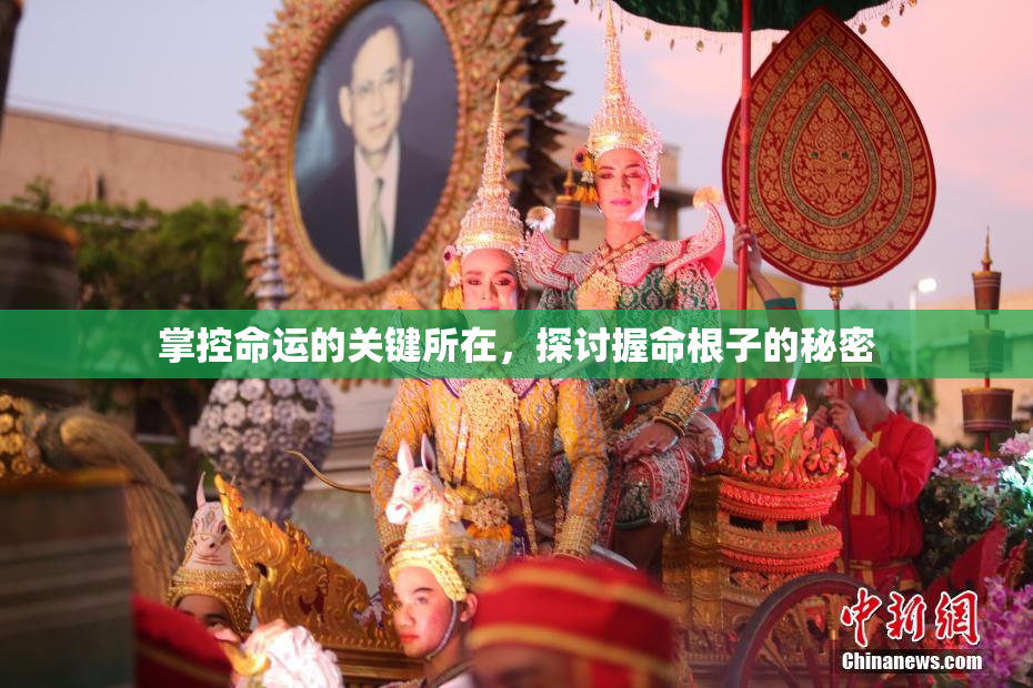 掌控命运的关键所在，探讨握命根子的秘密