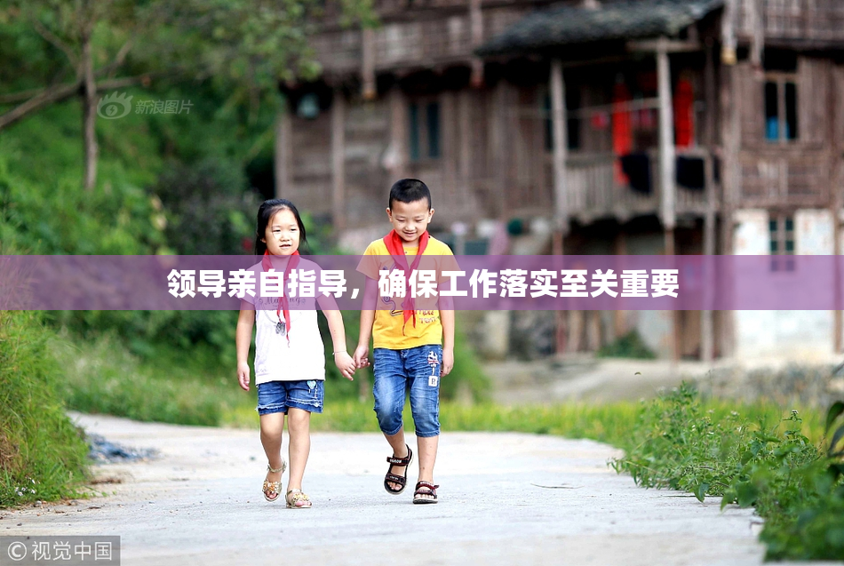 领导亲自指导，确保工作落实至关重要