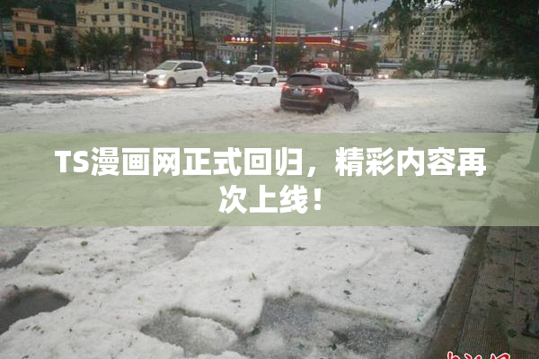 TS漫画网正式回归，精彩内容再次上线！