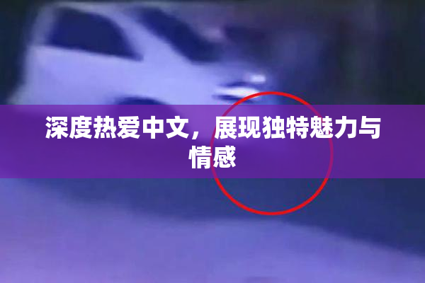 深度热爱中文，展现独特魅力与情感
