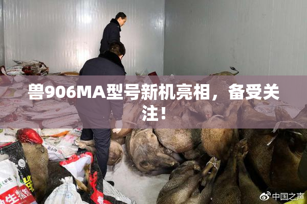兽906MA型号新机亮相，备受关注！