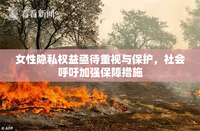 女性隐私权益亟待重视与保护，社会呼吁加强保障措施