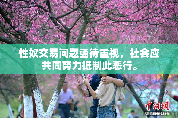 性奴交易问题亟待重视，社会应共同努力抵制此恶行。