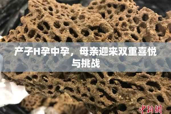 产子H孕中孕，母亲迎来双重喜悦与挑战