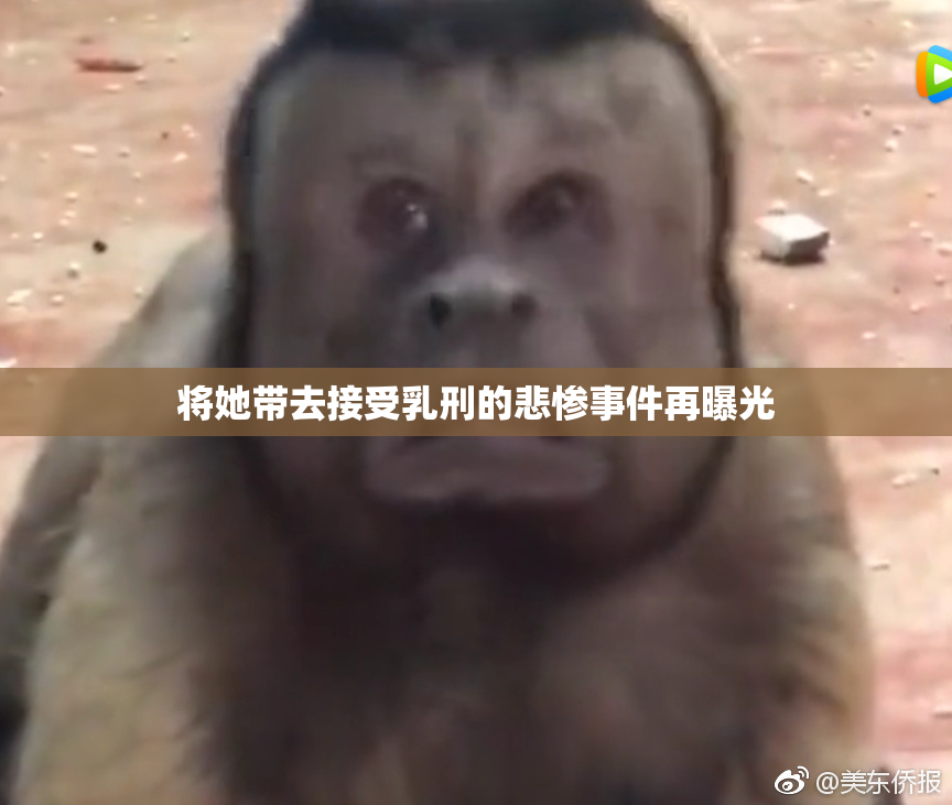 将她带去接受乳刑的悲惨事件再曝光