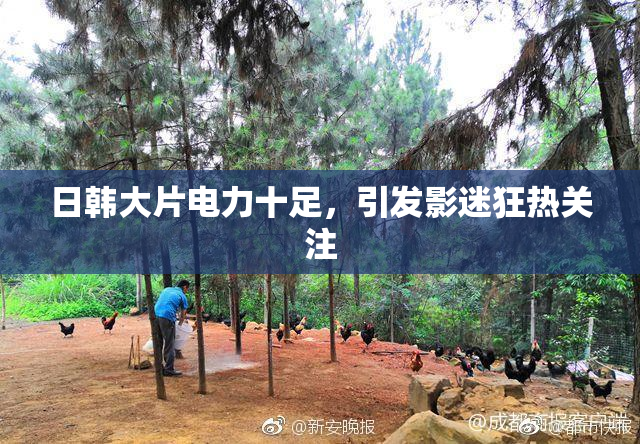 日韩大片电力十足，引发影迷狂热关注
