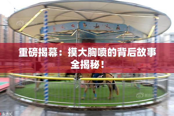 重磅揭幕：摸大胸喷的背后故事全揭秘！