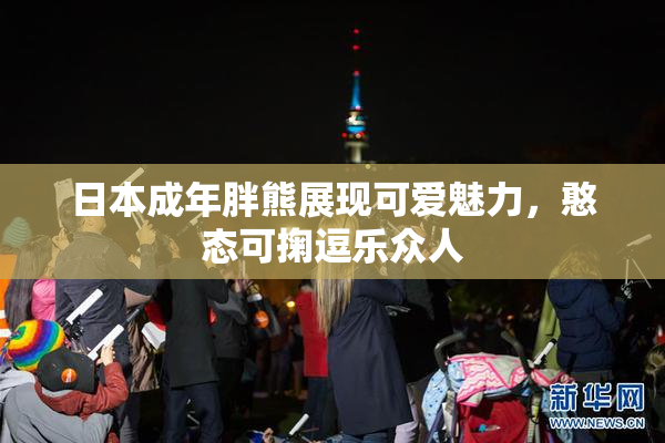 日本成年胖熊展现可爱魅力，憨态可掬逗乐众人