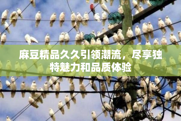 麻豆精品久久引领潮流，尽享独特魅力和品质体验