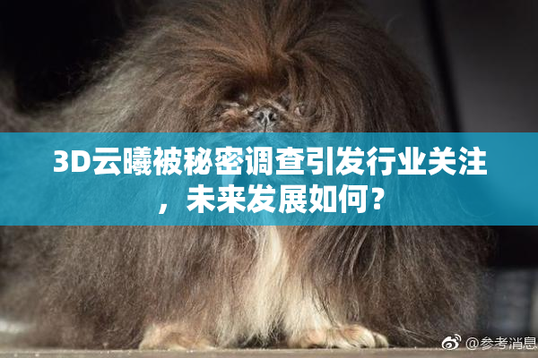 3D云曦被秘密调查引发行业关注，未来发展如何？