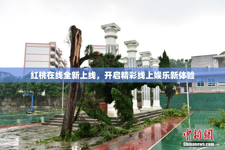 红桃在线全新上线，开启精彩线上娱乐新体验