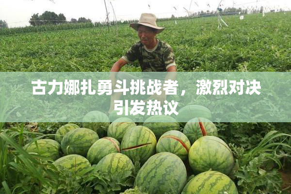 古力娜扎勇斗挑战者，激烈对决引发热议