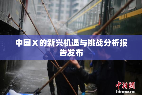 中国Ⅹ的新兴机遇与挑战分析报告发布
