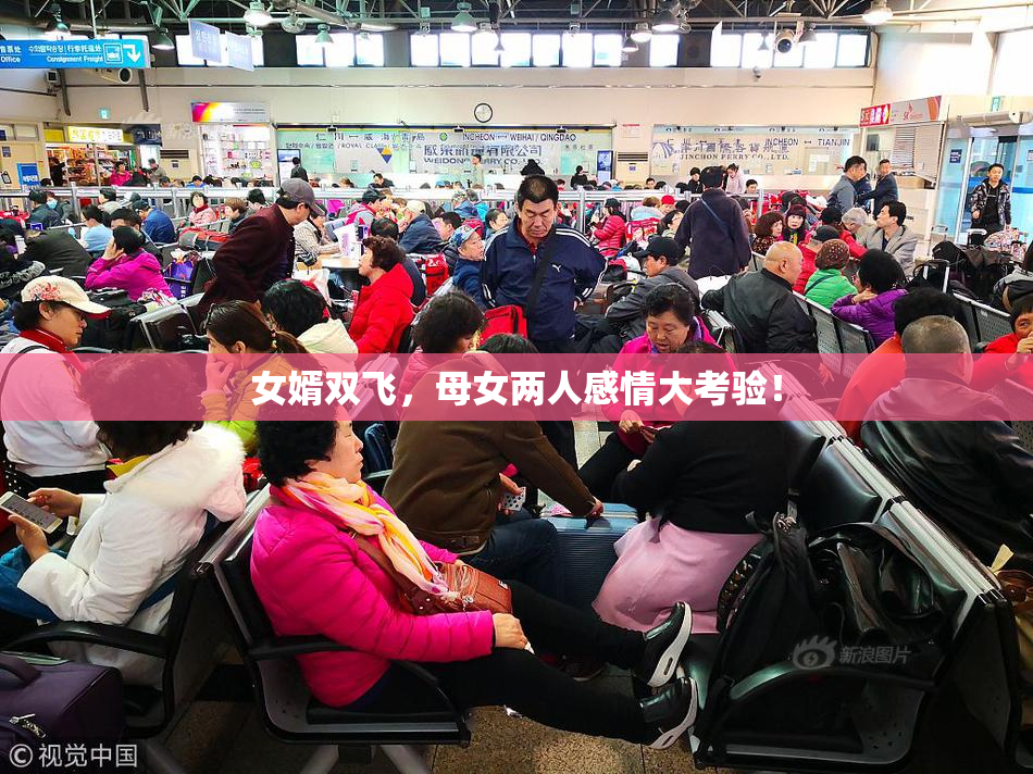 女婿双飞，母女两人感情大考验！