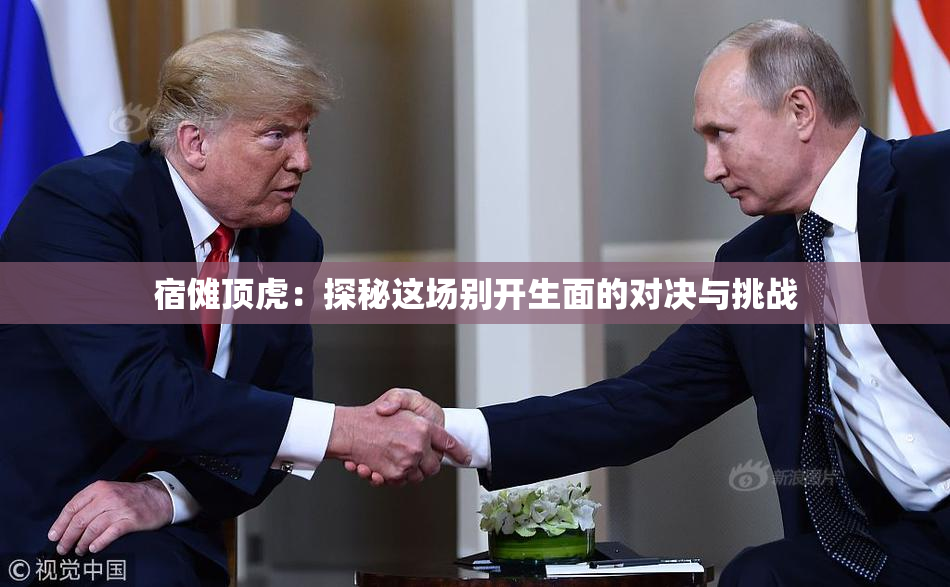 宿傩顶虎：探秘这场别开生面的对决与挑战