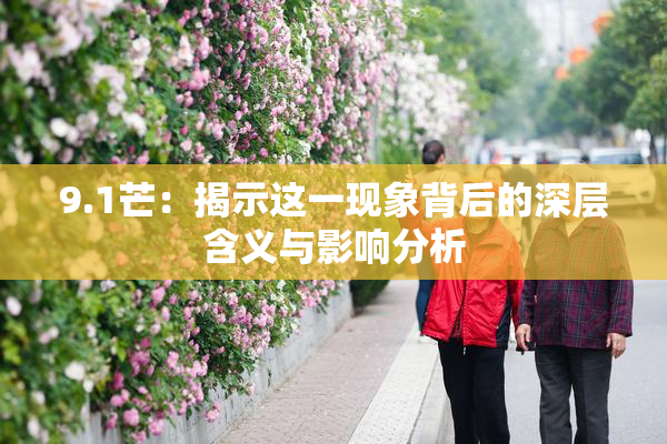 9.1芒：揭示这一现象背后的深层含义与影响分析