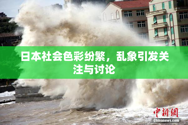 日本社会色彩纷繁，乱象引发关注与讨论