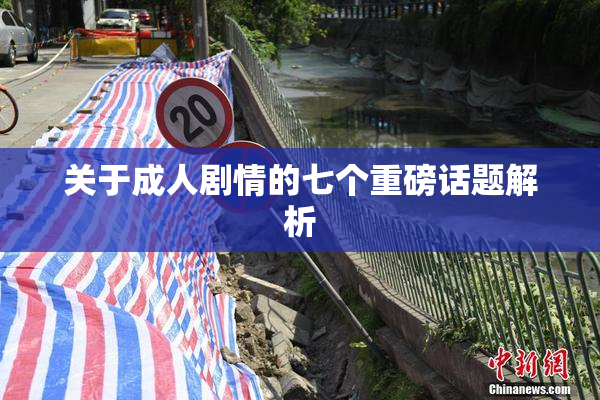 关于成人剧情的七个重磅话题解析
