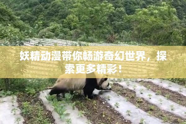 妖精动漫带你畅游奇幻世界，探索更多精彩！