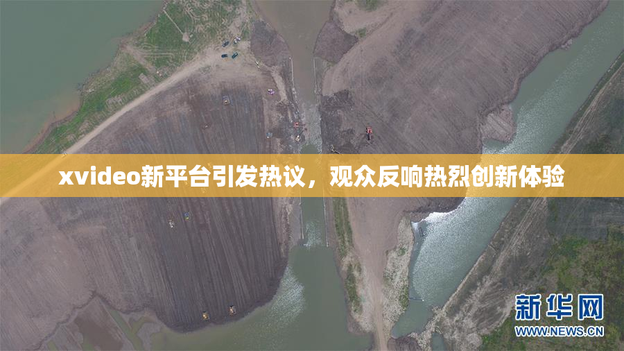 xvideo新平台引发热议，观众反响热烈创新体验