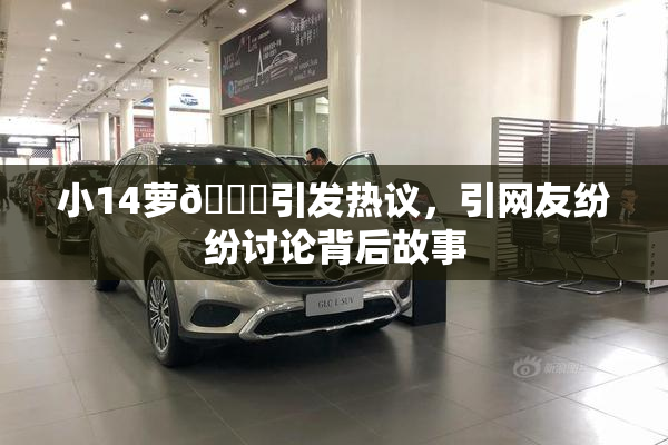 小14萝🔞引发热议，引网友纷纷讨论背后故事