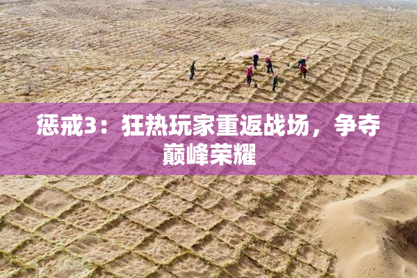 惩戒3：狂热玩家重返战场，争夺巅峰荣耀