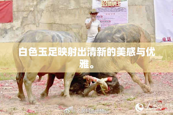 白色玉足映射出清新的美感与优雅。