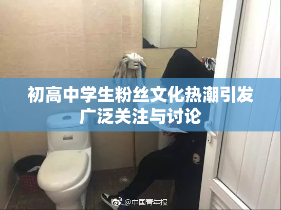 初高中学生粉丝文化热潮引发广泛关注与讨论