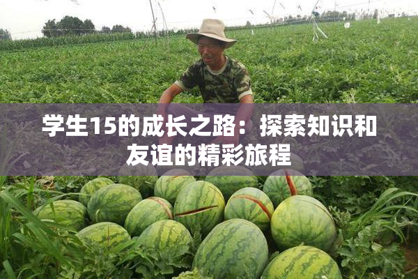 学生15的成长之路：探索知识和友谊的精彩旅程