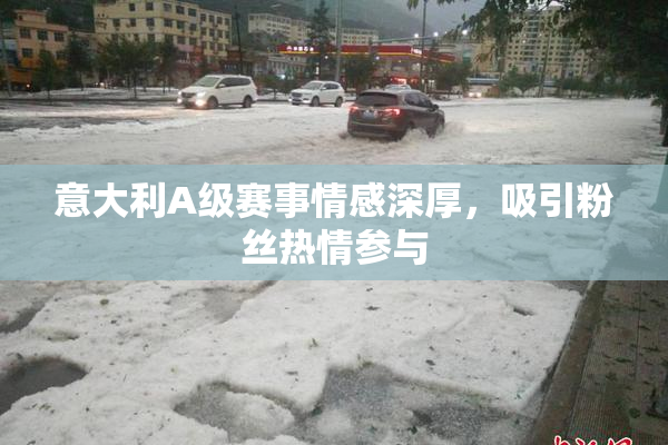 意大利A级赛事情感深厚，吸引粉丝热情参与