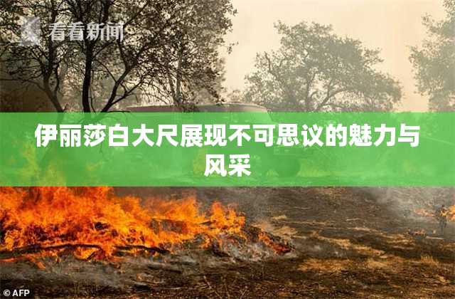 伊丽莎白大尺展现不可思议的魅力与风采
