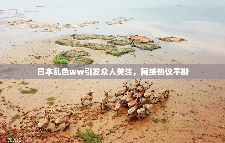日本乱色ww引发众人关注，网络热议不断