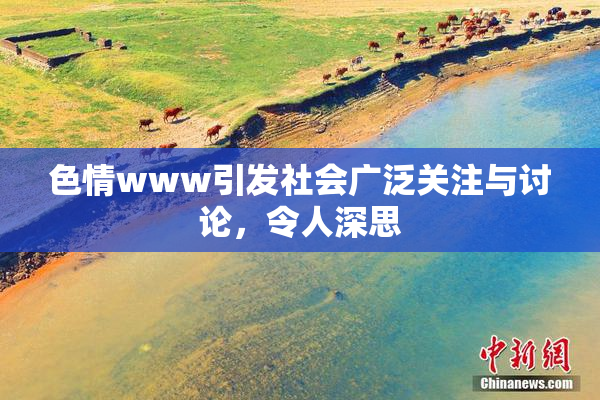色情www引发社会广泛关注与讨论，令人深思