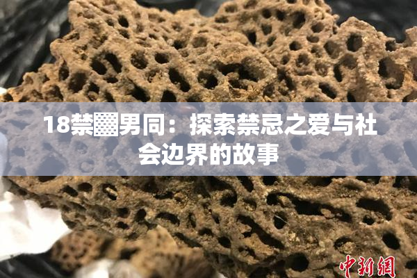 18禁▓男同：探索禁忌之爱与社会边界的故事