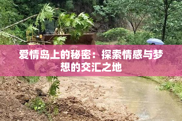 爱情岛上的秘密：探索情感与梦想的交汇之地