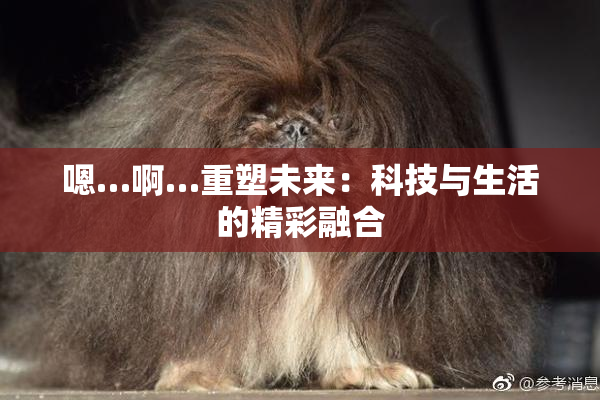 嗯…啊…重塑未来：科技与生活的精彩融合
