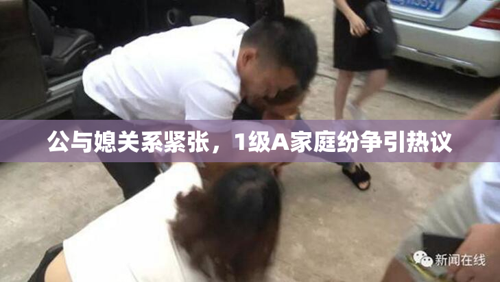 公与媳关系紧张，1级A家庭纷争引热议