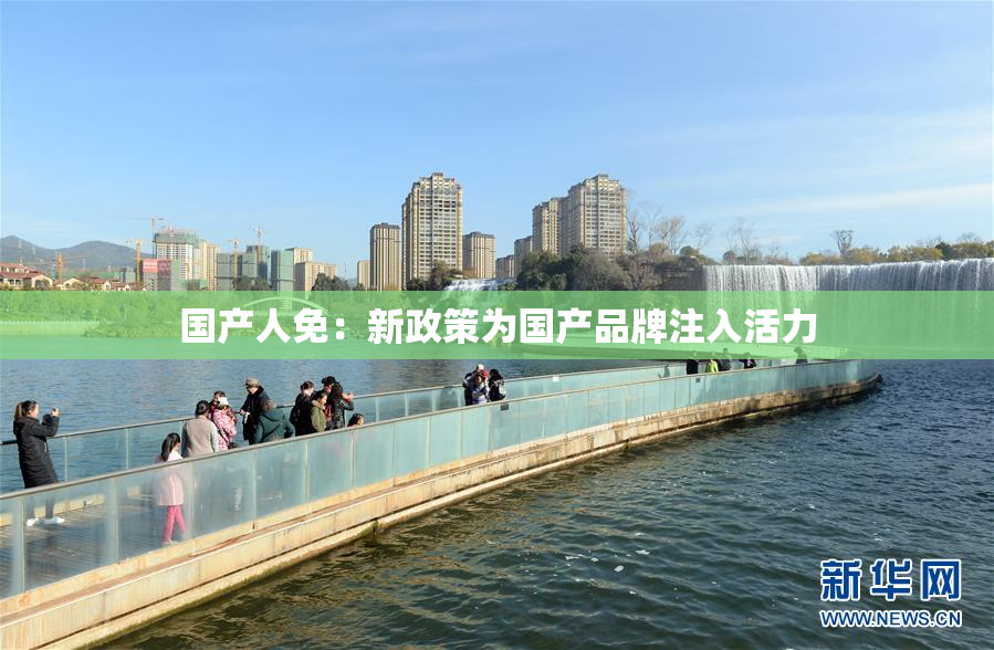 国产人免：新政策为国产品牌注入活力