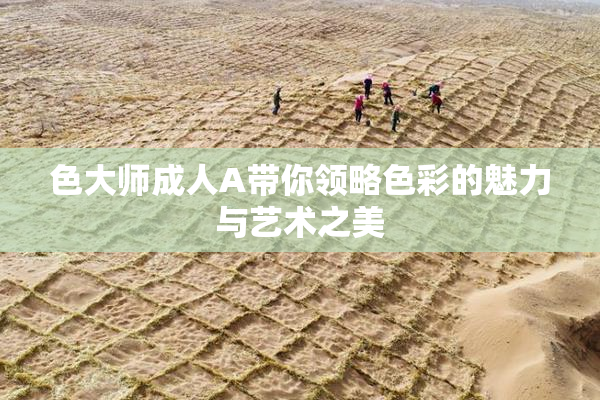 色大师成人A带你领略色彩的魅力与艺术之美