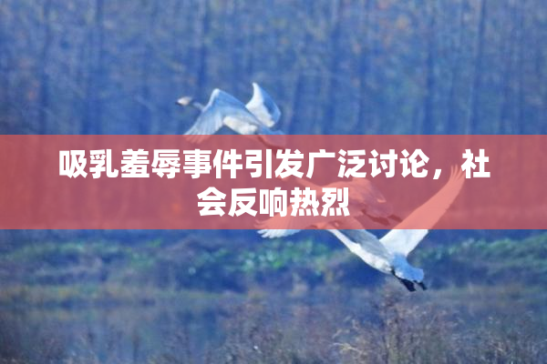 吸乳羞辱事件引发广泛讨论，社会反响热烈