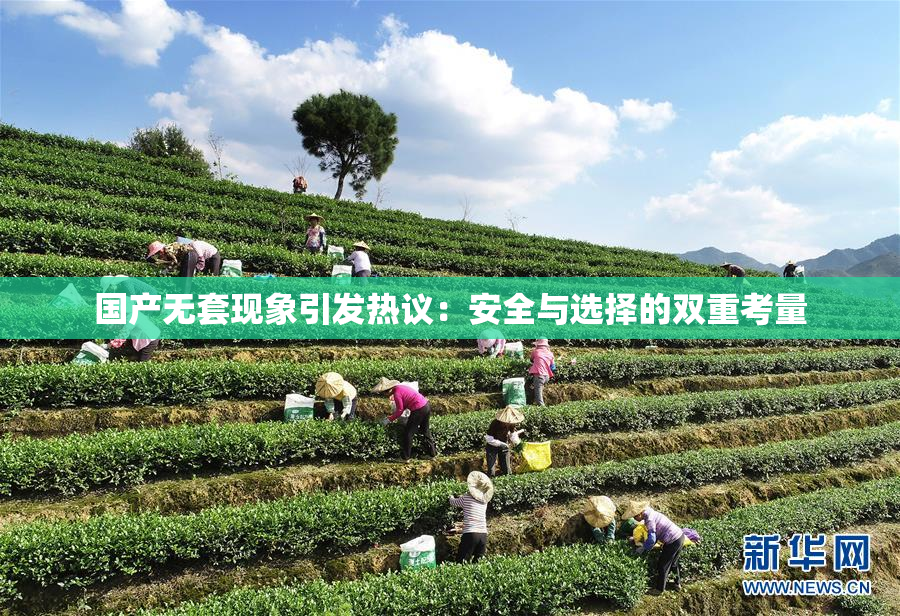 国产无套现象引发热议：安全与选择的双重考量