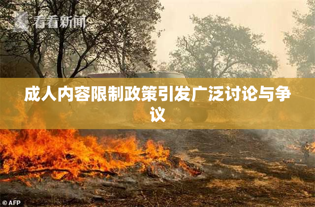 成人内容限制政策引发广泛讨论与争议
